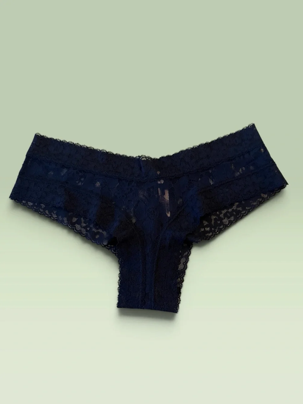 Victoria's Secret Navy Lace Hipster Panty
